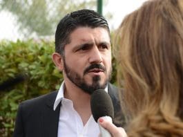 Gattuso Fiorentina